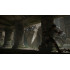 Shadow of the Colossus [PS4]